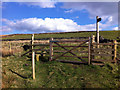 SD9931 : Gate and stile on Limers Gate, above Crimsworth Dean by Phil Champion