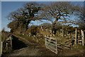 Gate on the Bridleway, Portmeirion, Gwynedd