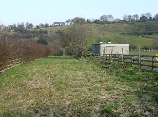 Narrow field off Carr Green Lane