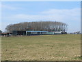 Horseshoes Riding School, East Farleigh