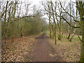 Haugton Dale Nature Reserve