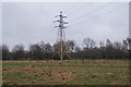 Mixed colour pylon