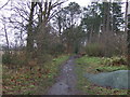 Footpath off Lumb Brook Road