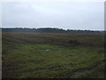 Farmland, Cherry Hall Farm