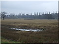 Farmland off Cherry Lane