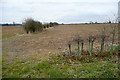 Farmland off Akeman Street