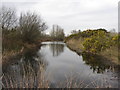 Lagoon at the Millennium Wetlands, Llanelli