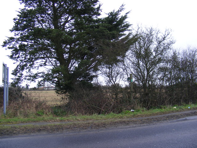 Footpath to Priory Lane