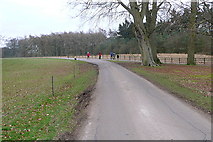 SP4216 : Roads and walkers within Blenheim Park by Graham Horn