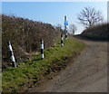 Allexton Lane junction with Hallaton Road