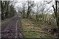 Footpath north of Rowler