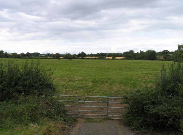 Fields near to Brington