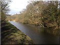 Leeds-Liverpool Canal south of Feniscowles