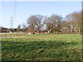 Fields near Byfleet