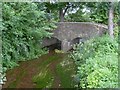 Old Marsh Bridge Dunster Marsh - West Somerset