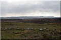 NR2158 : Remains of wall at Olistadh, Islay by Becky Williamson