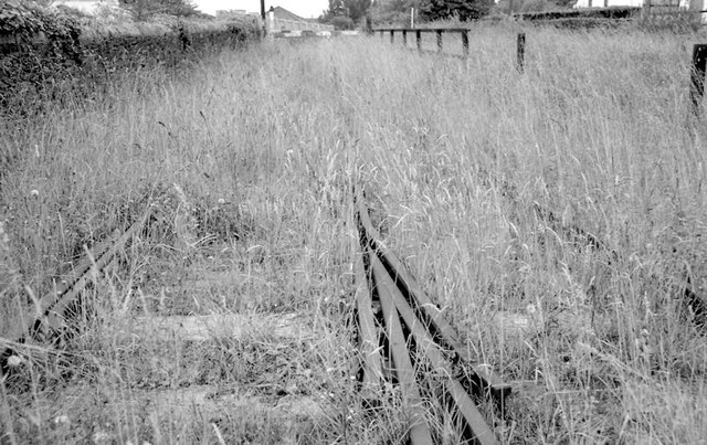 Overgrown railway, New Ross (1999-1)