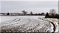 Houses over lightly snowed field