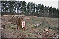 WW 1 hut base on Cannock Chase