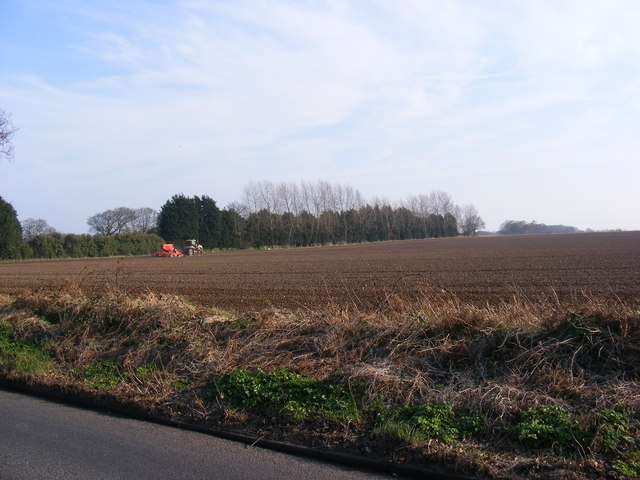 Field off Links Road