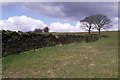 Dry stone wall near The Height