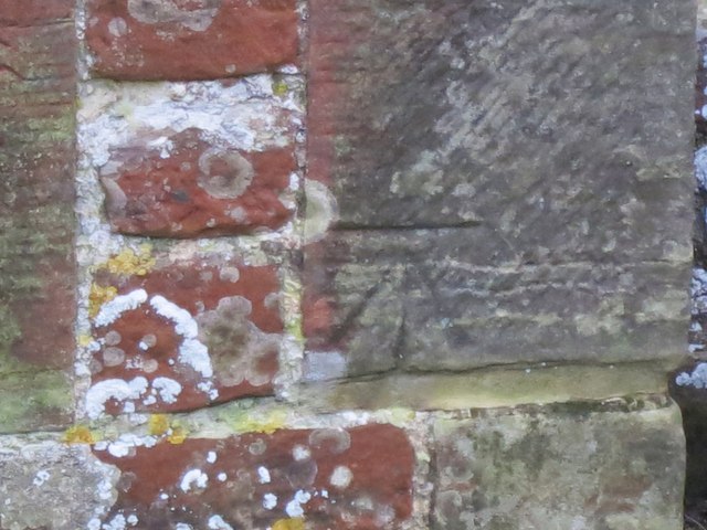 Close up detail