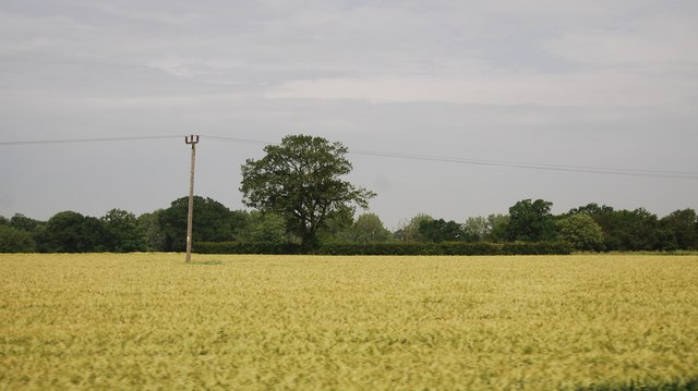 Arable land by A11