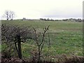 Kilcootry Townland