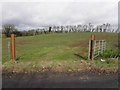 An open field, Kilgort