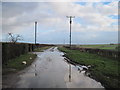 Pockthorpe  Lane  toward  Ruston  Parva