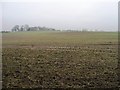 Farmland south of Binsoe Lane