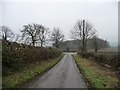 Looking south along Binsoe Lane