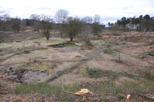 1st W.W. Filter Beds on Cannock Chase