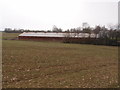 Poultry shed at Sibley