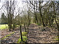 Path leading to Heys Lane from Springwood Farm