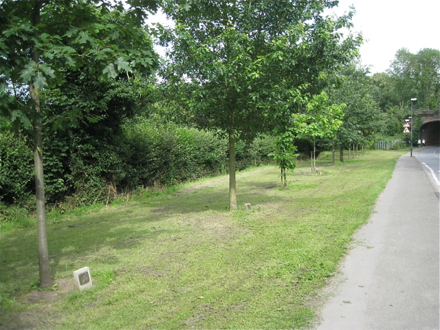 Commemorative trees, Coat of Arms Bridge Road, Coventry CV3