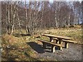 NH2023 : Picnic table, Glen Affric by Richard Webb