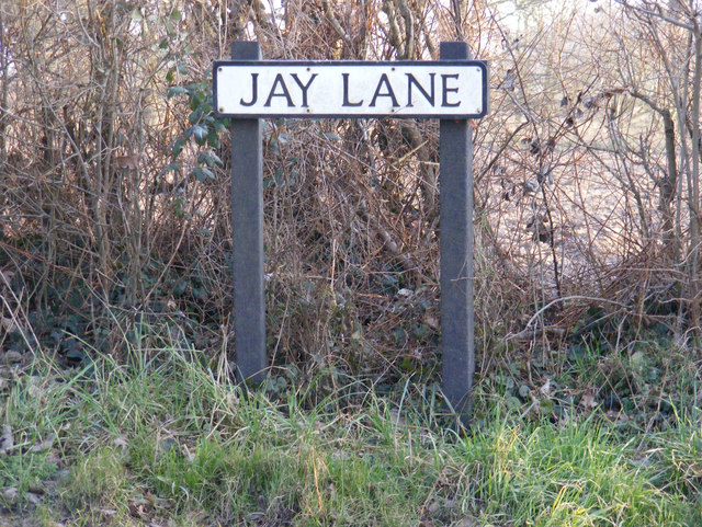 Jay Lane sign