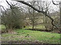 Hedleyhope Burn