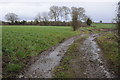 Track and footpath near Chaxhill