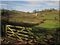 SX8766 : Fields, South Whilborough by Derek Harper