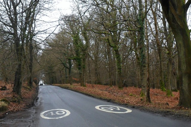 Priory Road near Wych Cross