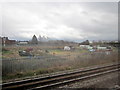 Allotments, Leicester Junction, Burton-Upon-Trent