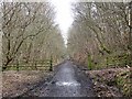 Lanchester Valley Railway Path