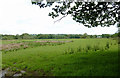 Pasture near Llanio, Ceredigion