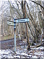 TM4568 : Roadsign at Mill Road junction by Geographer