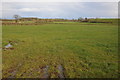 Farmland viewed from Ley Road