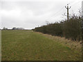 Footpath along field edge