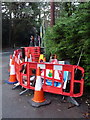 Bournemouth: Braidley Road roadworks are finished