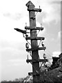 Telegraph pole by Busseybridge Farm, Mundham